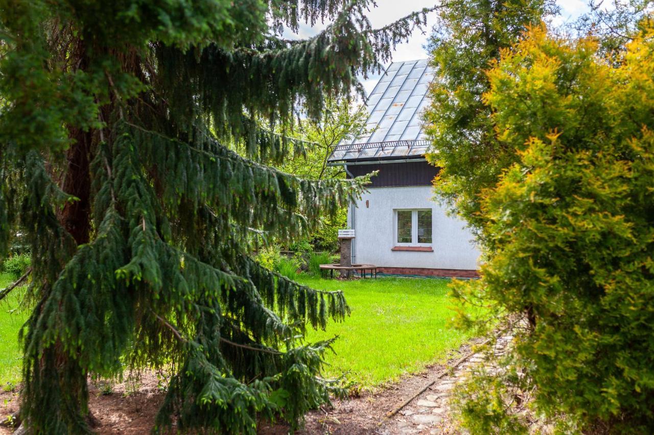 Caloroczny Dom Wakacyjny Magnolia Milkow-Karpacz Exterior foto